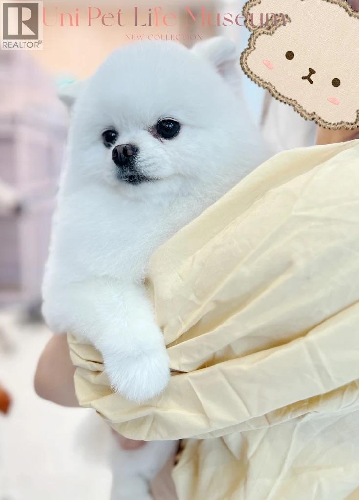 120 6386 No. 3 Road, Richmond, BC