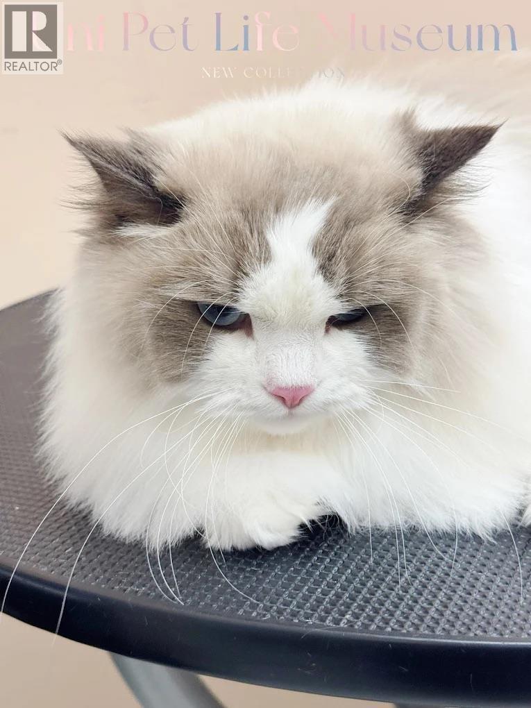 120 6386 No. 3 Road, Richmond, BC