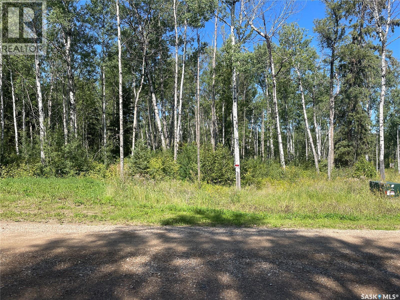 3 Phillips Crescent, Big River Rm No. 555, SK