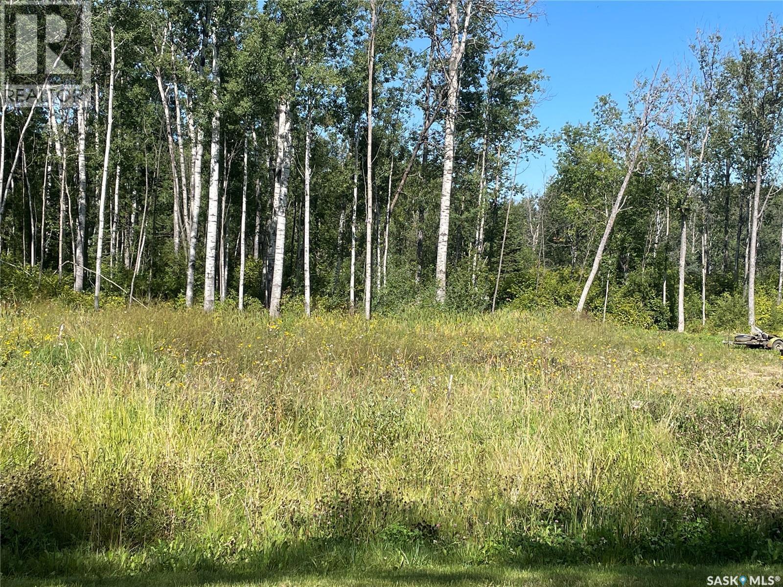 5 Phillips Crescent, Big River Rm No. 555, SK