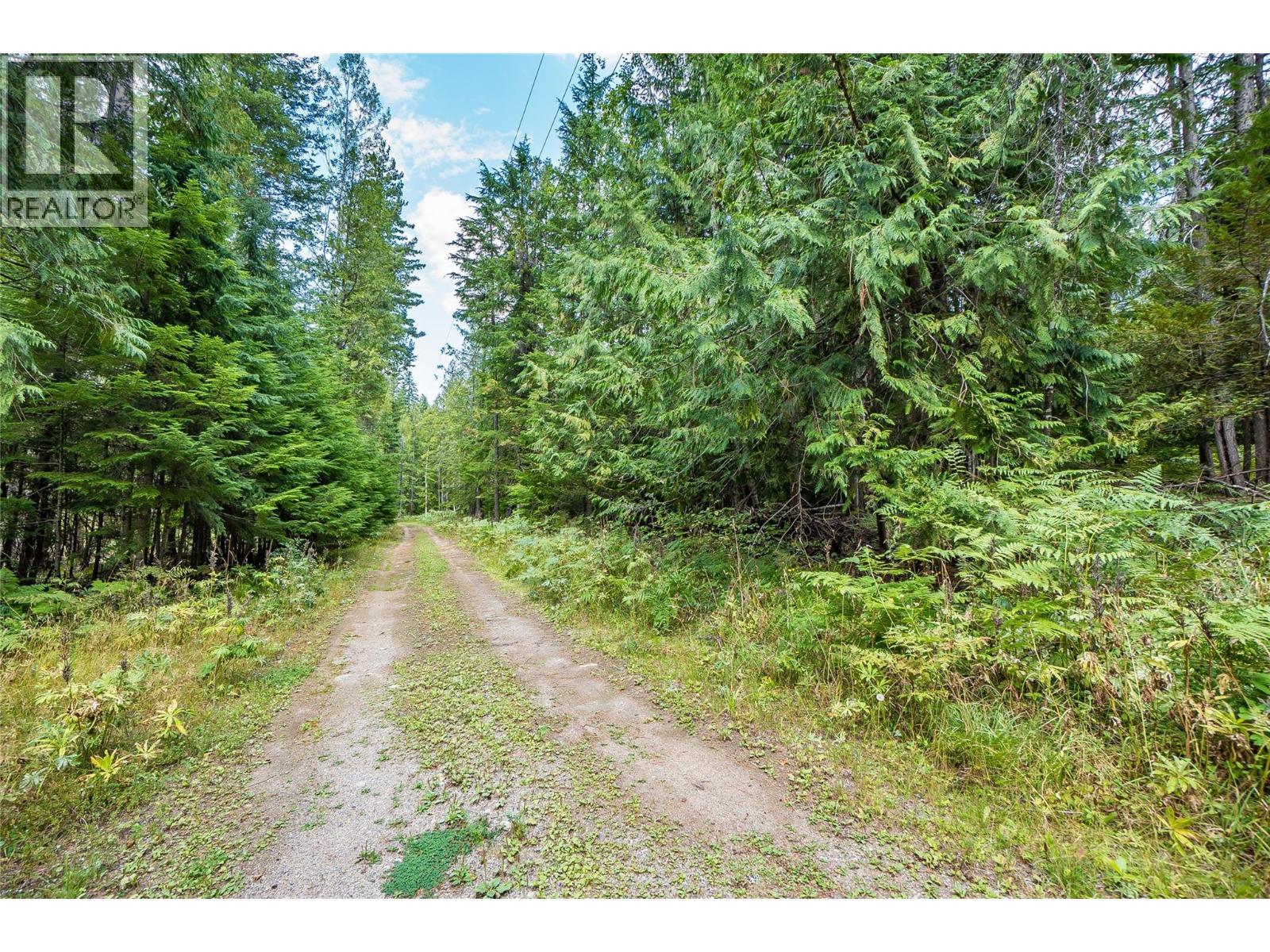 8780 Martens Road, Slocan, BC - Outdoor