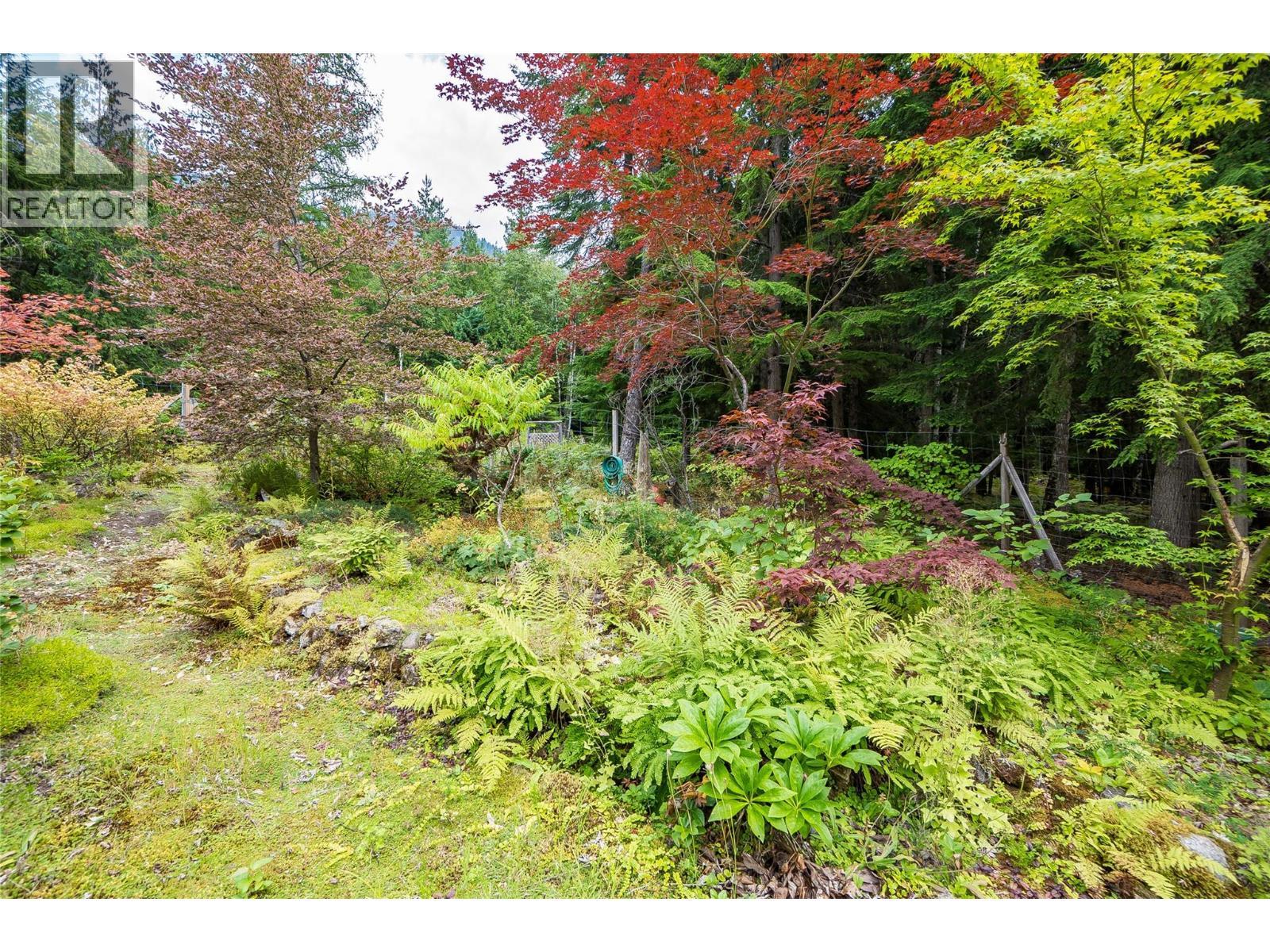 8780 Martens Road, Slocan, BC - Outdoor