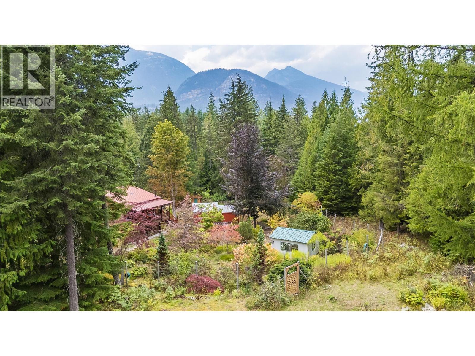 8780 Martens Road, Slocan, BC - Outdoor With View