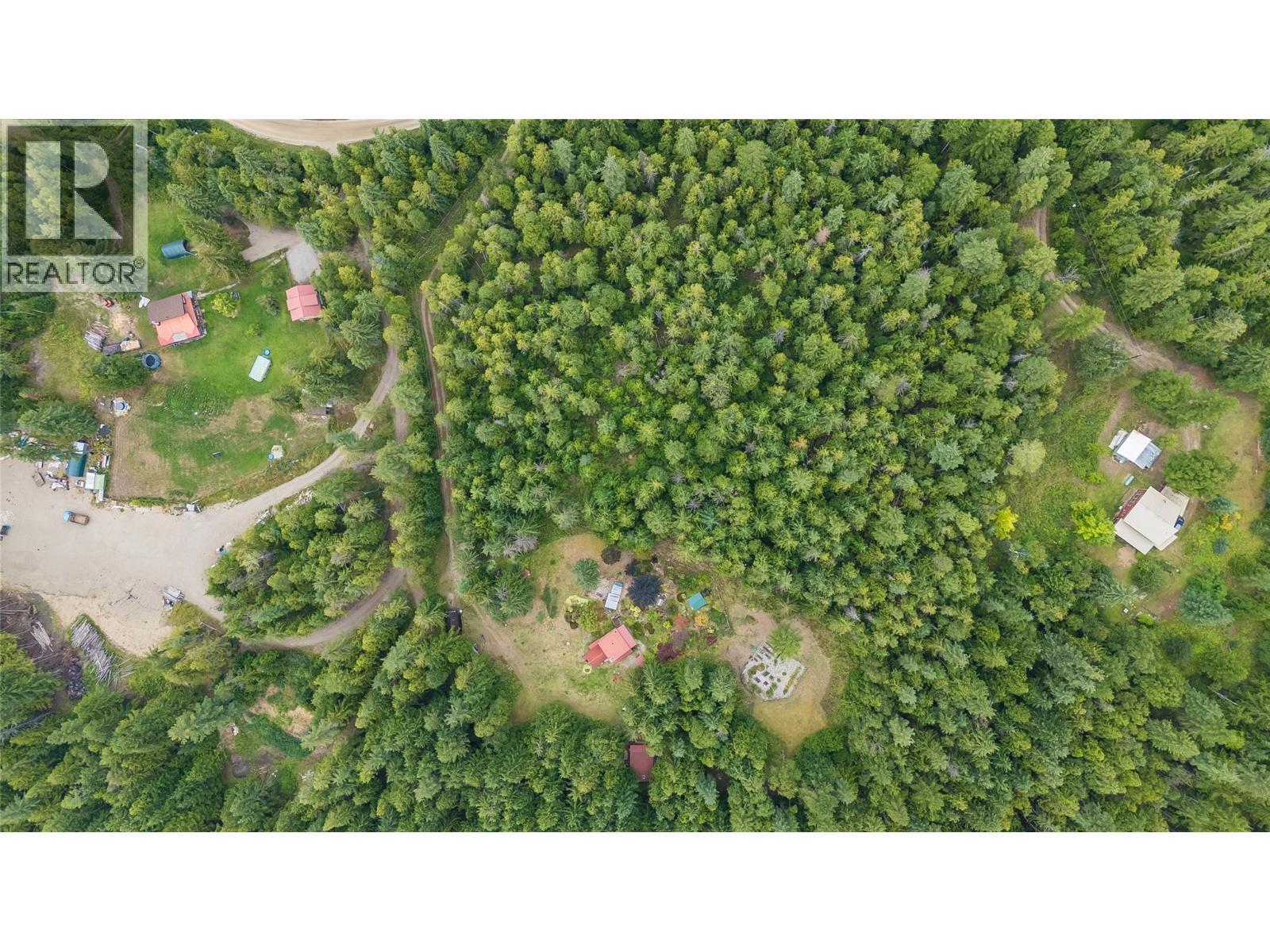 8780 Martens Road, Slocan, BC - Outdoor With View