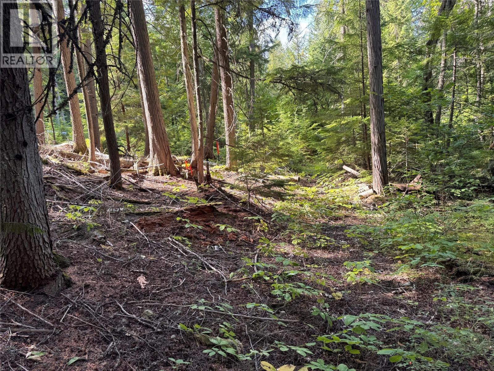 Lot 1 Chase Road, Christina Lake, BC