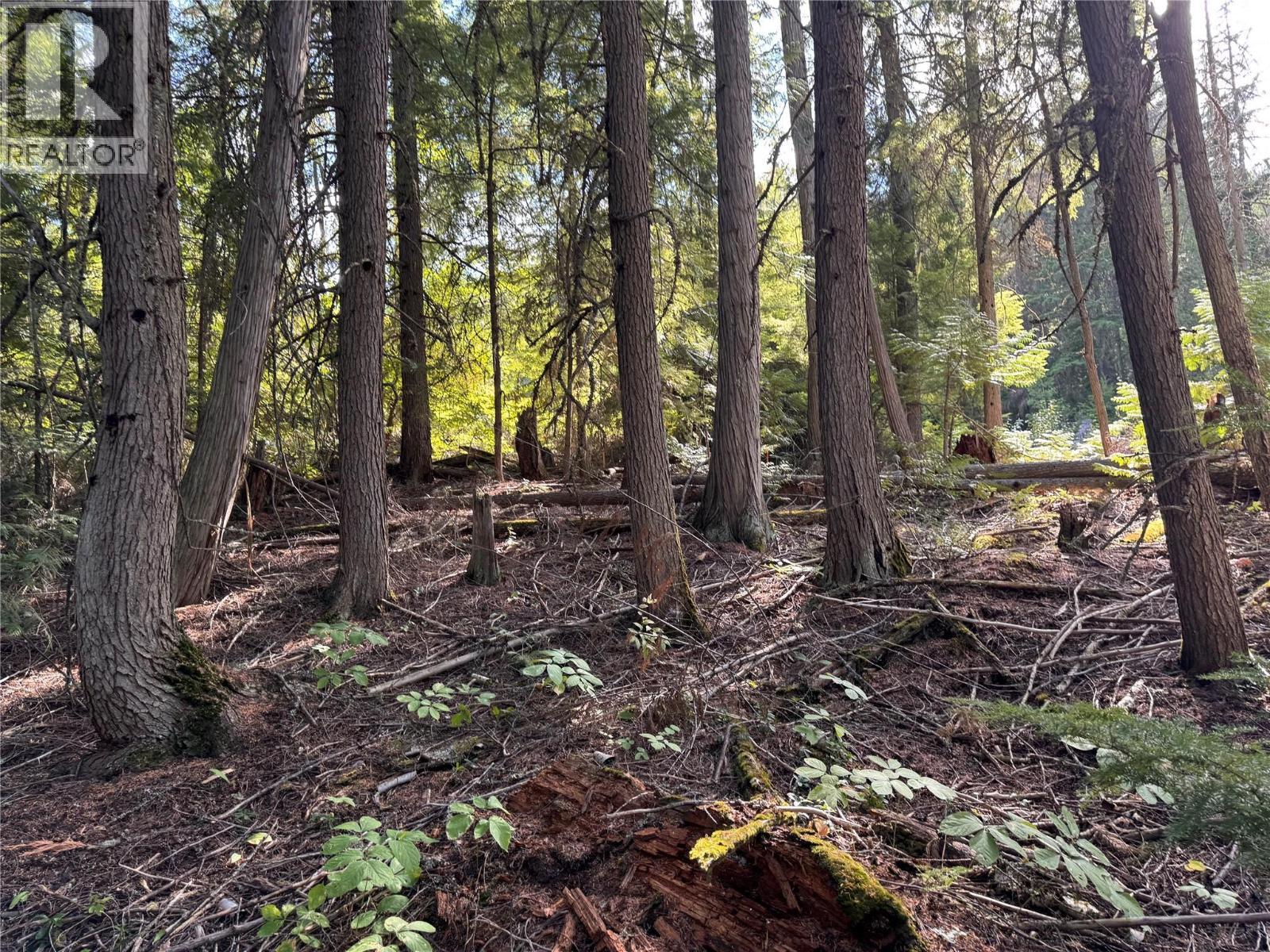 Lot 1 Chase Road, Christina Lake, BC