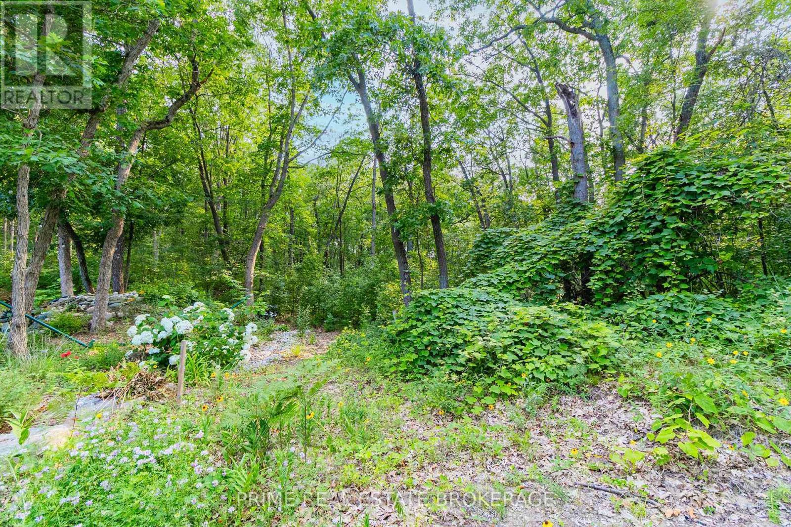 10142 Pinery Bluffs Road, Lambton Shores, ON - Outdoor