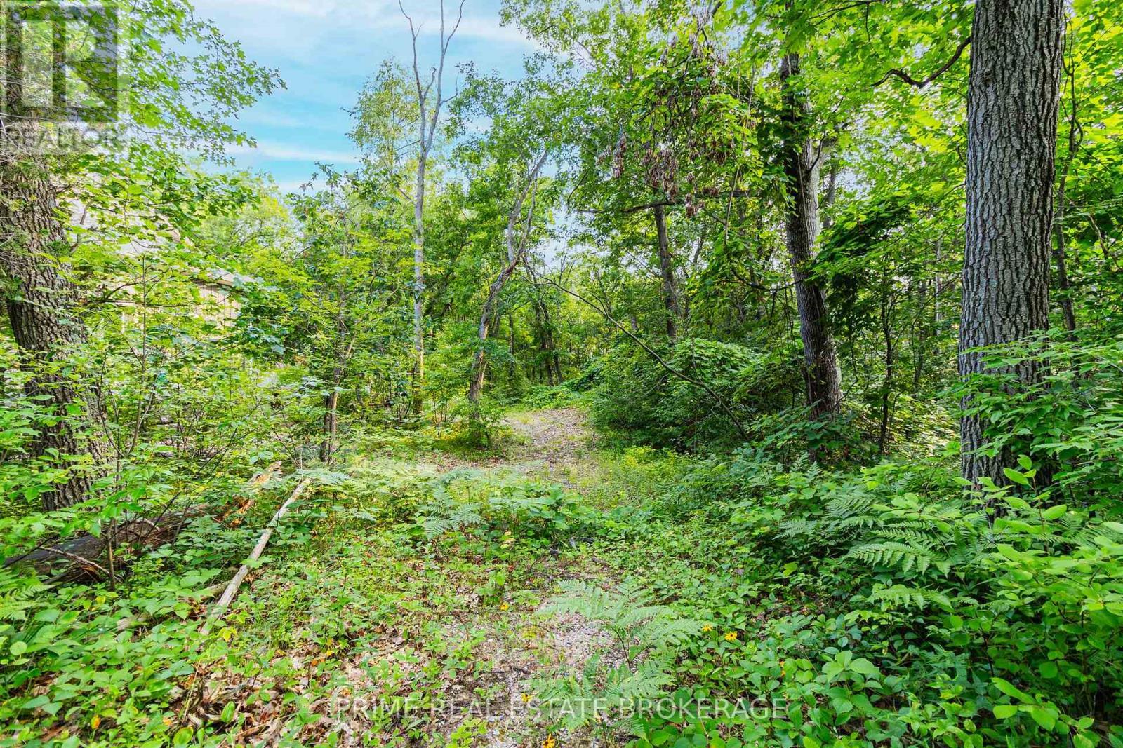 10142 Pinery Bluffs Road, Lambton Shores, ON - Outdoor
