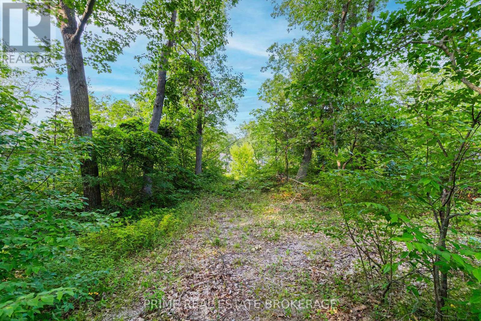 10142 Pinery Bluffs Road, Lambton Shores, ON - Outdoor