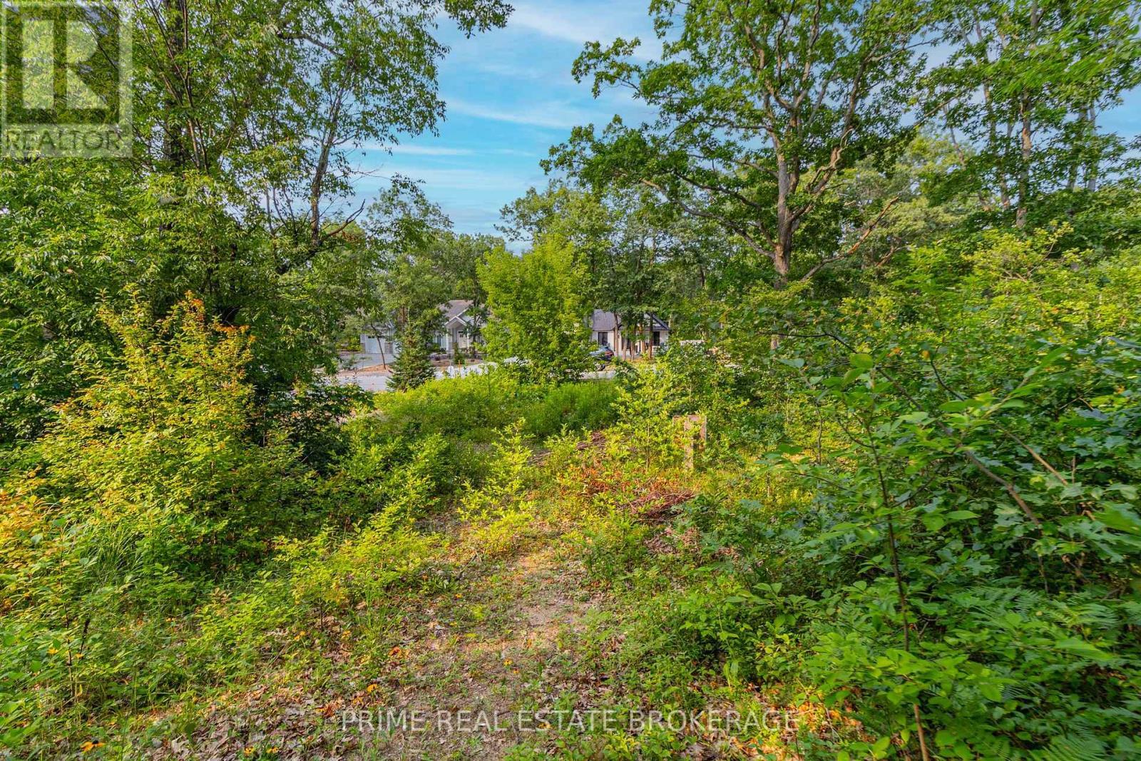 10142 Pinery Bluffs Road, Lambton Shores, ON - Outdoor