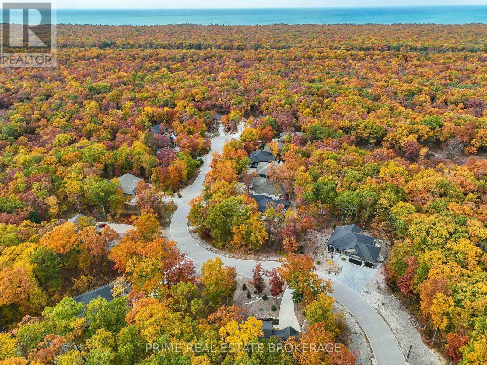 Fall in an Oak Savvanah forest - 10142 Pinery Bluffs Road, Lambton Shores, ON - Outdoor With View