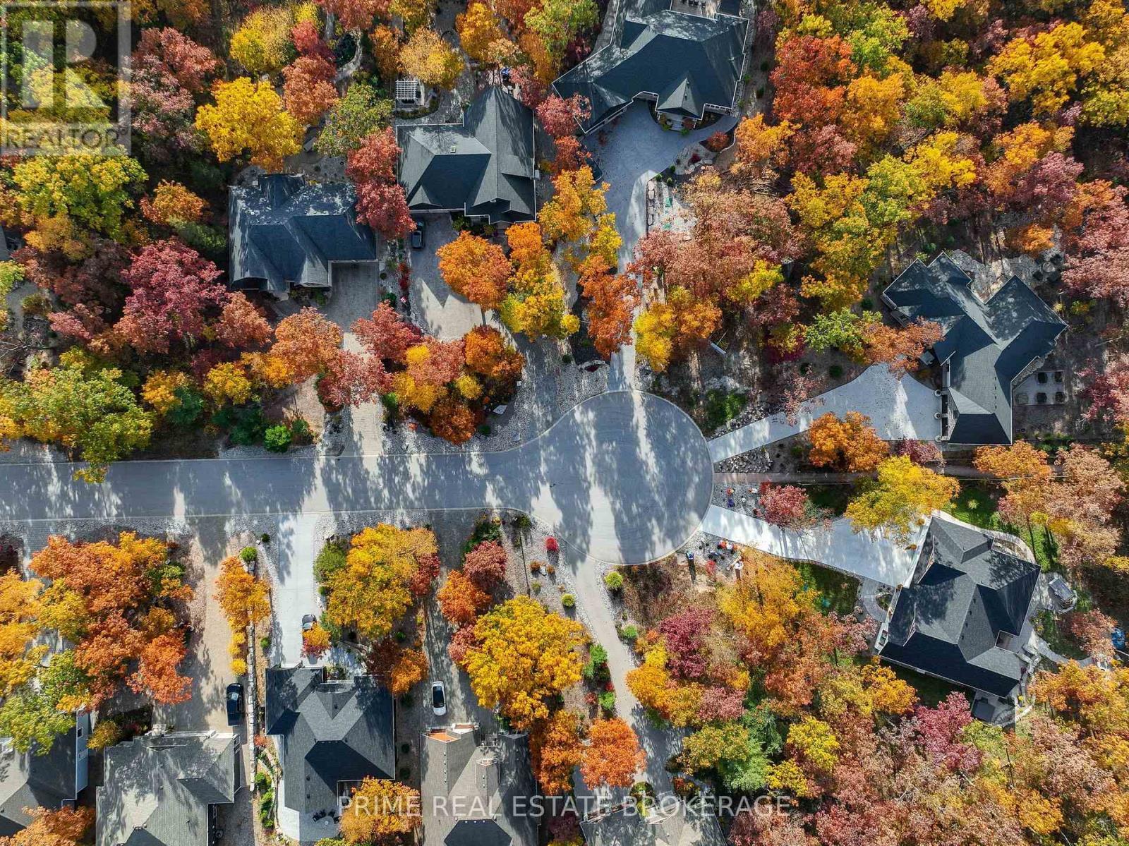Fall in an Oak Savvanah forest - 10142 Pinery Bluffs Road, Lambton Shores, ON - Outdoor