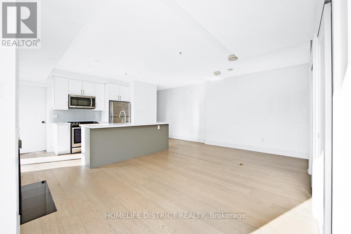 300 - 243 Niagara Street, Toronto, ON - Indoor Photo Showing Kitchen