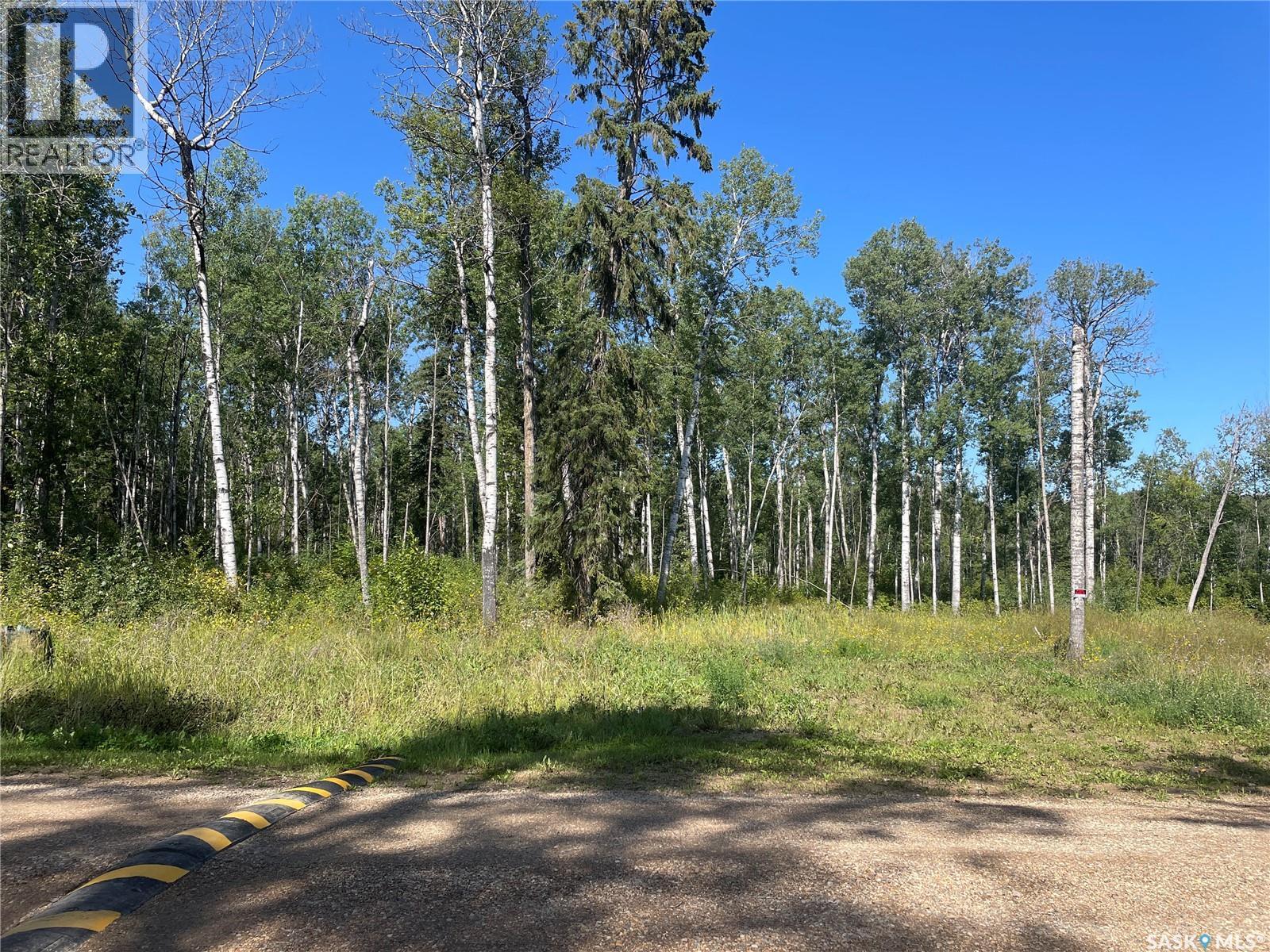 4 Phillips Crescent, Big River Rm No. 555, SK