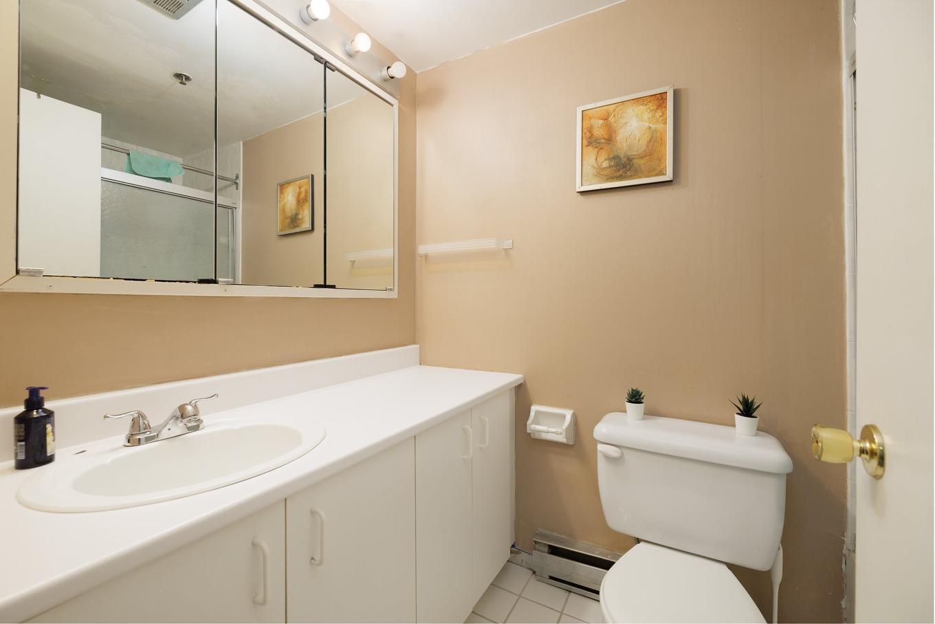 Salle de bains - 204-5420 Rue St-Denis, Montréal (Le Plateau-Mont-Royal), QC - Indoor Photo Showing Bathroom