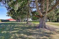 Beautiful setting and property! -