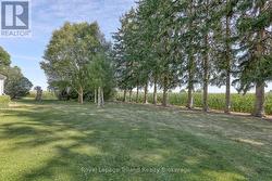 Thinking a shop or garage? Maybe a few chickens? -