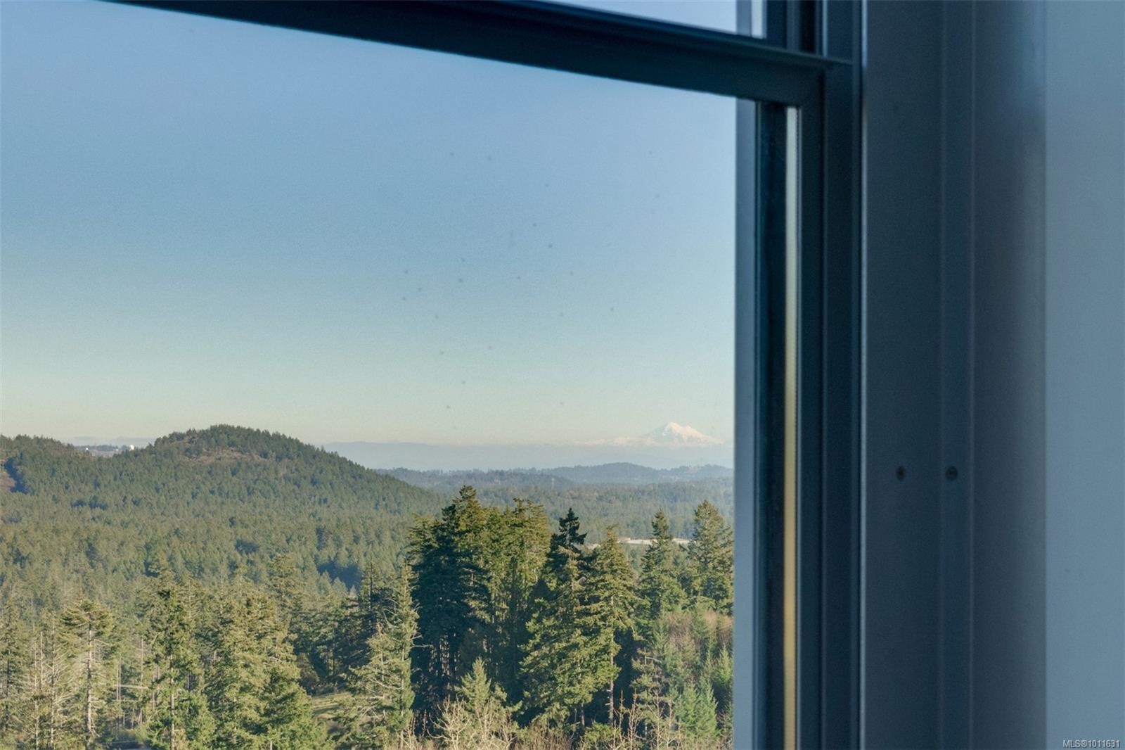 335/337 C-1999 Country Club Way, Langford, BC - Outdoor With View