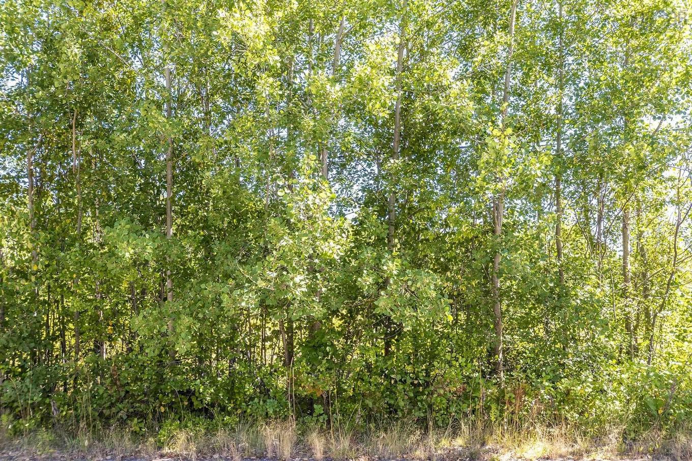 12-A Pleasant Street, Conway, NS