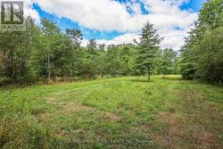 So much space to enjoy - 6 lovely acres -