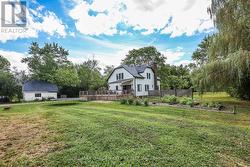 Thriving vegetable garden area -