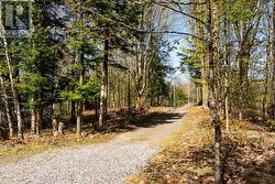 Secondary driveway -