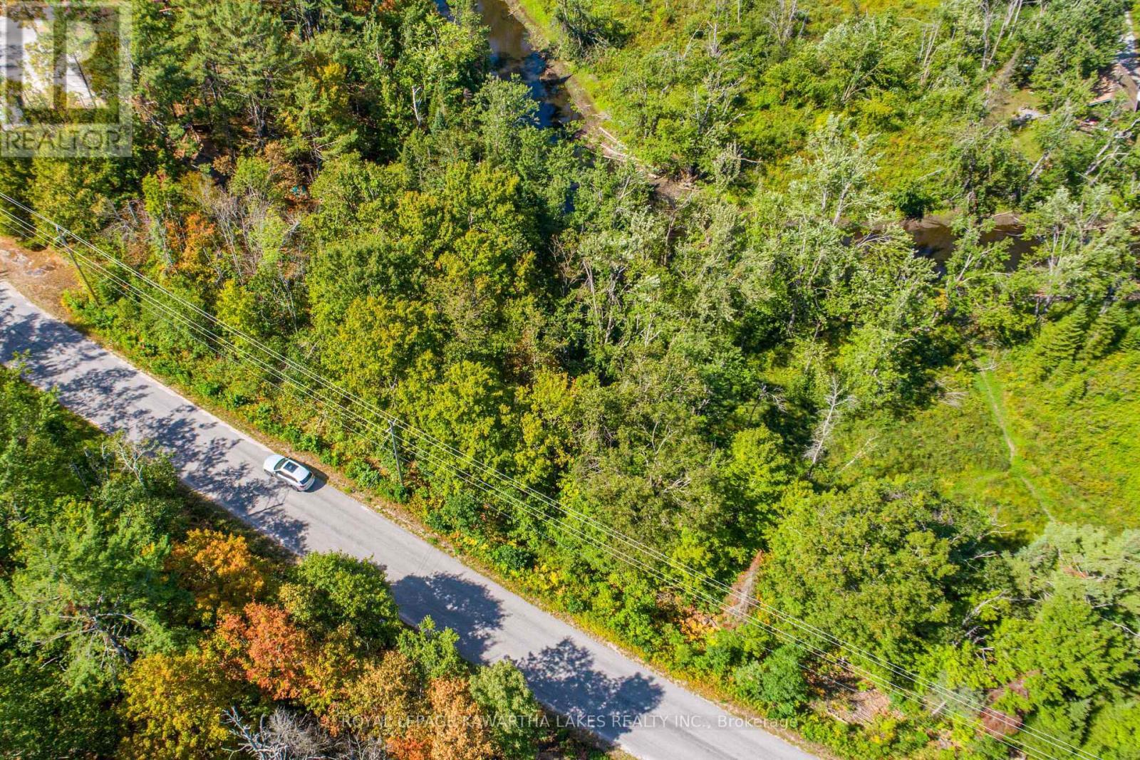 Pt Lot 36 Edwina Drive, Trent Lakes, ON