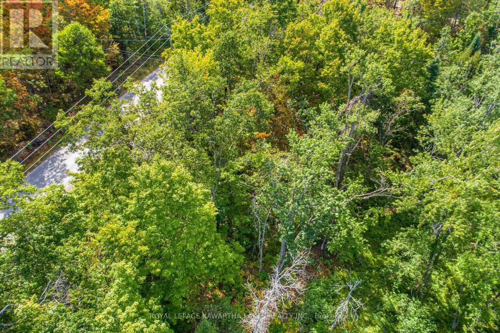 Pt Lot 36 Edwina Drive, Trent Lakes, ON