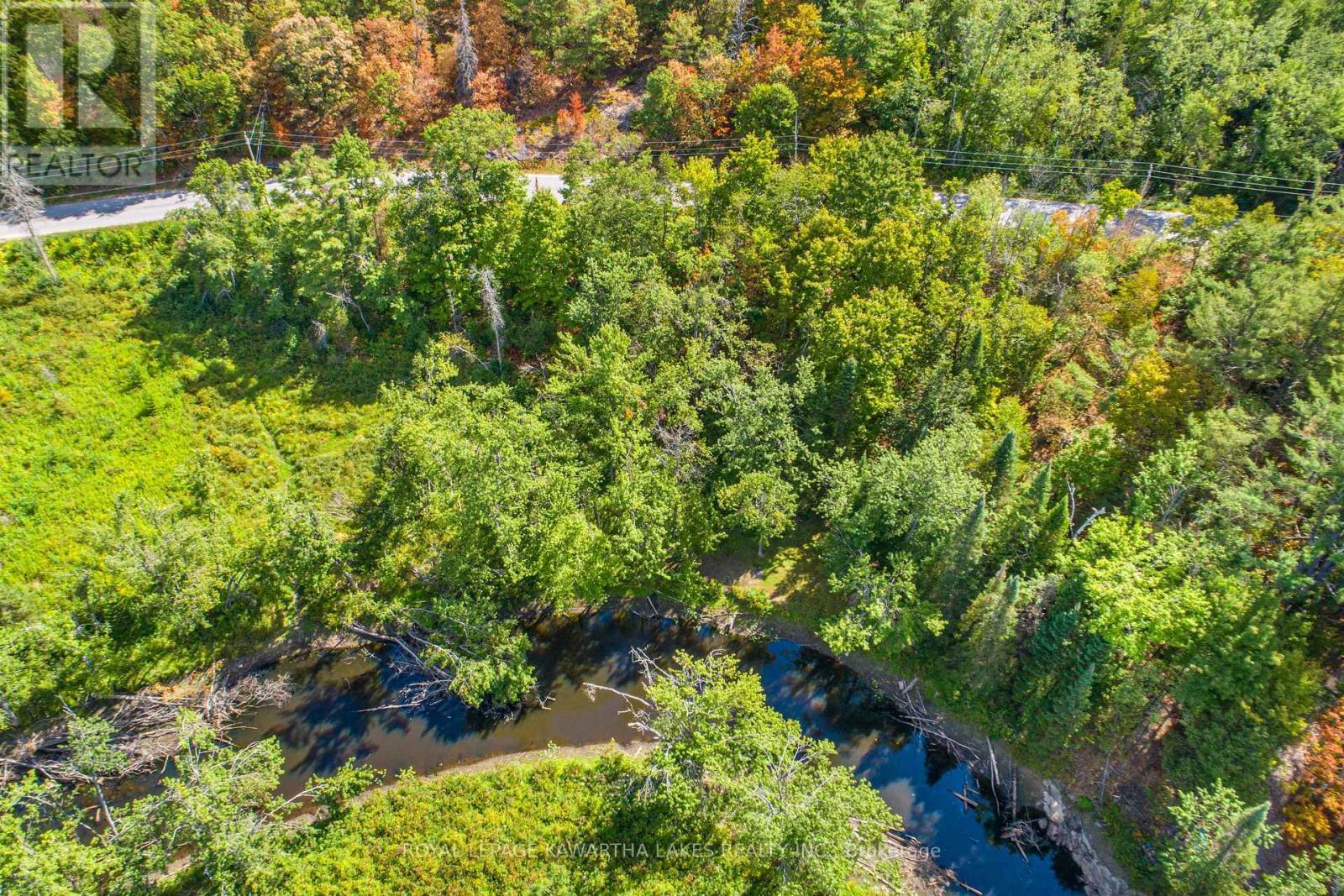 Pt Lot 36 Edwina Drive, Trent Lakes, ON