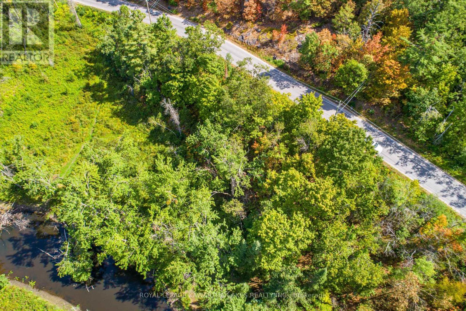 Pt Lot 36 Edwina Drive, Trent Lakes, ON