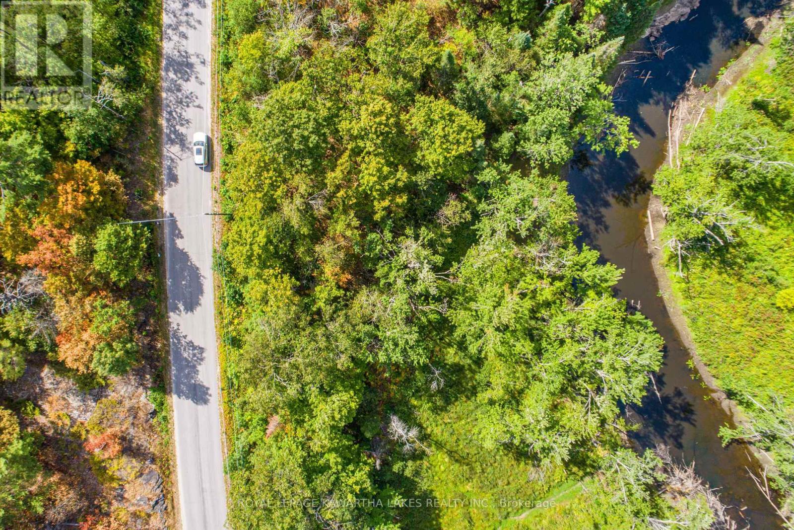 Pt Lot 36 Edwina Drive, Trent Lakes, ON