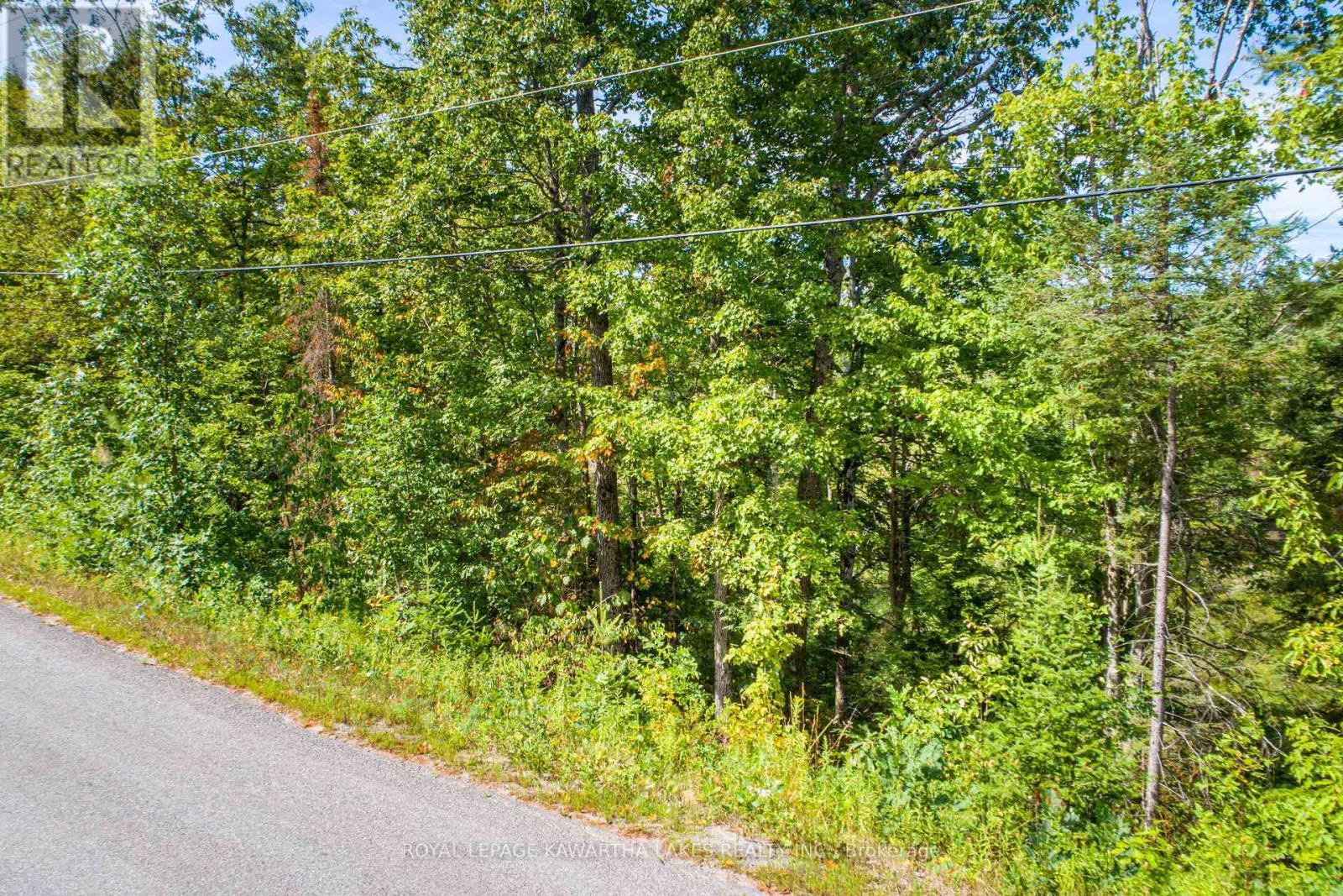Pt Lot 36 Edwina Drive, Trent Lakes, ON