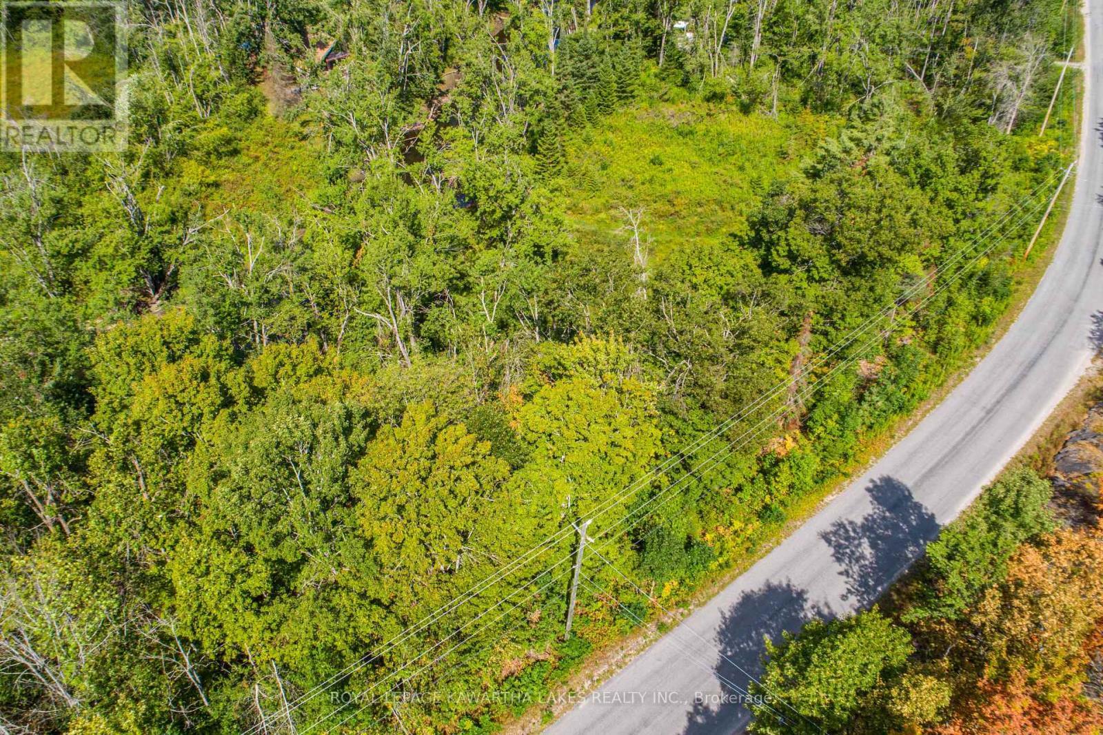 Pt Lot 36 Edwina Drive, Trent Lakes, ON