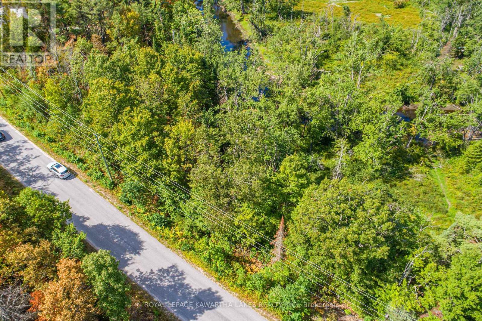 Pt Lot 36 Edwina Drive, Trent Lakes, ON