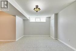 Above Grade Windows in Rec Room -