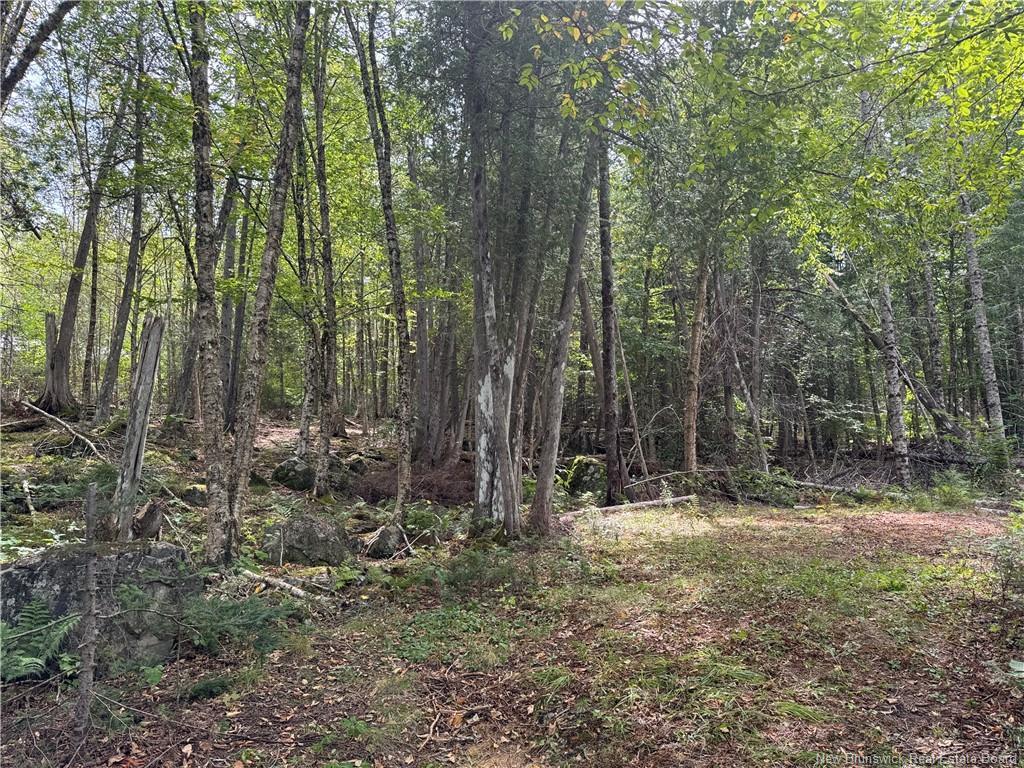 194 Upper Waweig Rd, Waweig, NB