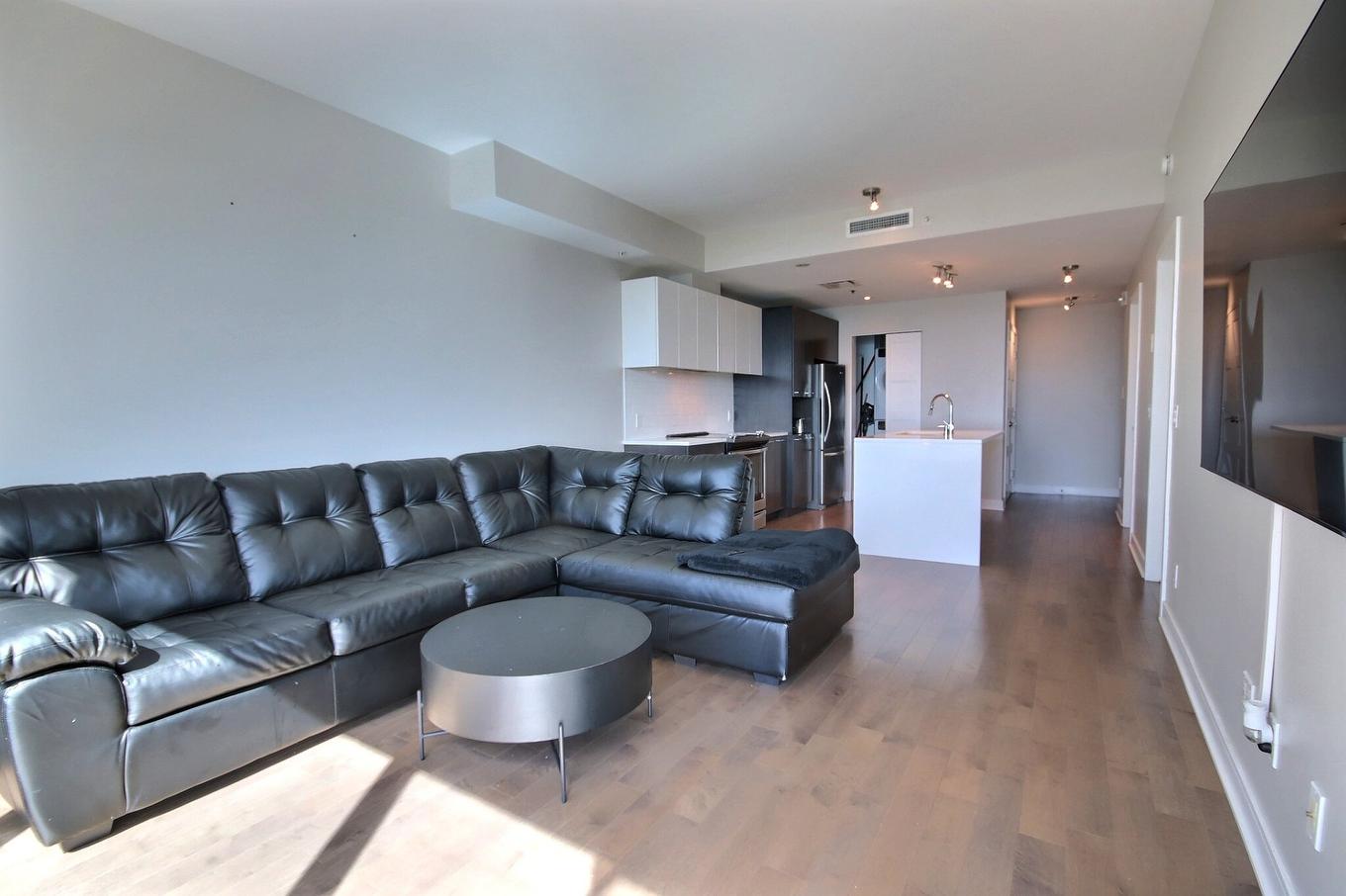 Salon - 2004-299 Rue De La Rotonde, Montréal (Verdun/Île-Des-Soeurs), QC - Indoor Photo Showing Living Room