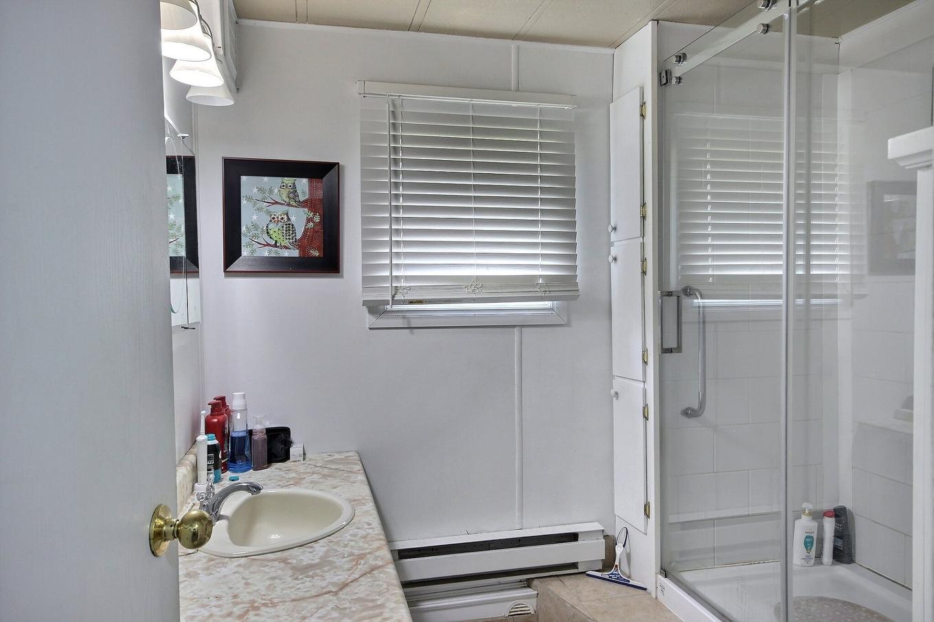 Bathroom - 7 Rue Des Pinsons, Rouyn-Noranda, QC - Indoor Photo Showing Bathroom