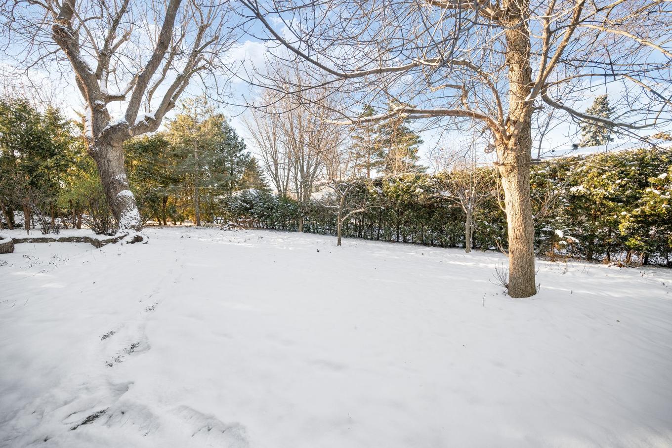 Cour - 38 Av. Margaret-Ann, Beaconsfield, QC - Outdoor With View