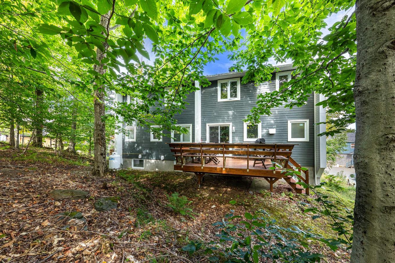 Back facade - 208 - 210 Ch. Boulanger, Sutton, QC - Outdoor