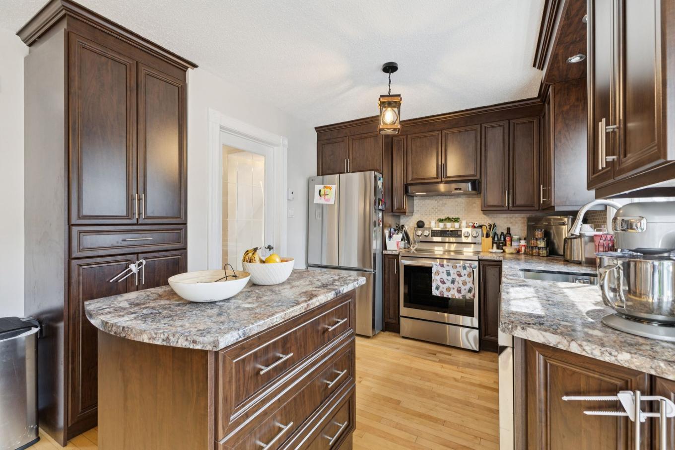 Cuisine - 246 Rue Des Tulipes, Gatineau (Gatineau), QC - Indoor Photo Showing Kitchen With Upgraded Kitchen