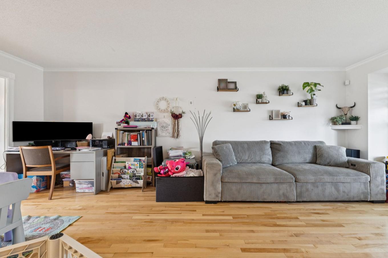 Salon - 246 Rue Des Tulipes, Gatineau (Gatineau), QC - Indoor Photo Showing Living Room