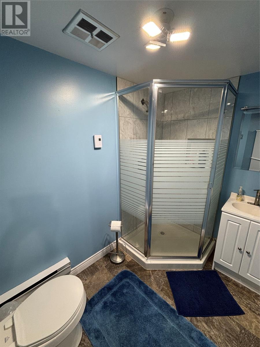 4 Butt'S Lane, La Scie, NL - Indoor Photo Showing Bathroom