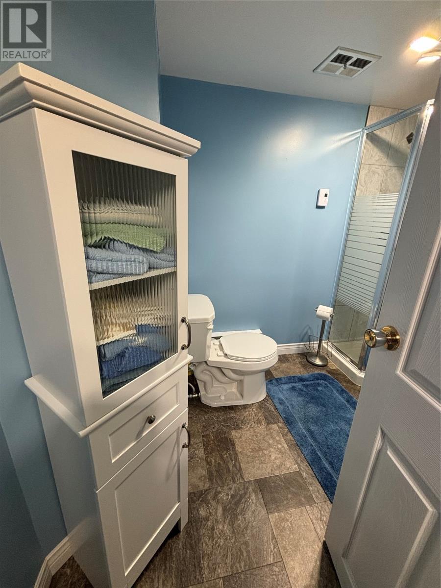 4 Butt'S Lane, La Scie, NL - Indoor Photo Showing Bathroom