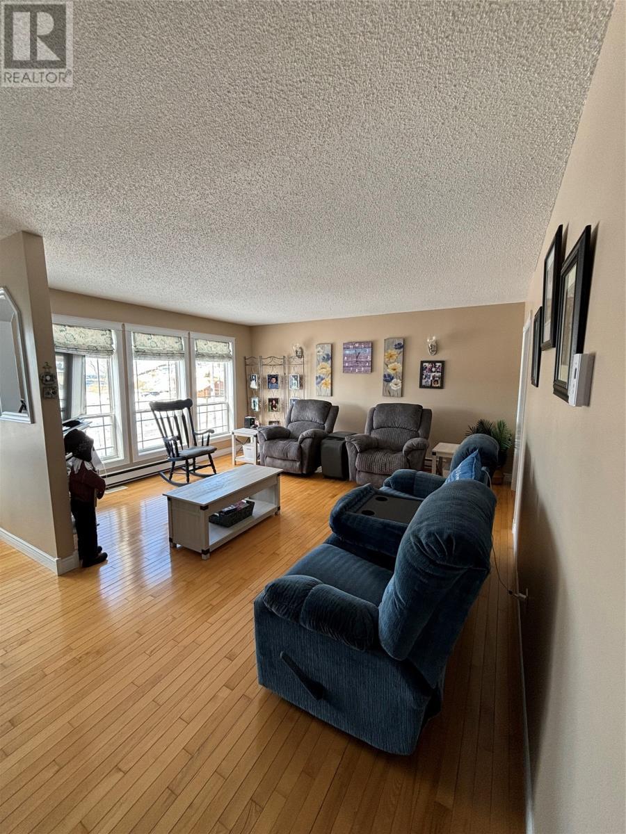 4 Butt'S Lane, La Scie, NL - Indoor Photo Showing Living Room