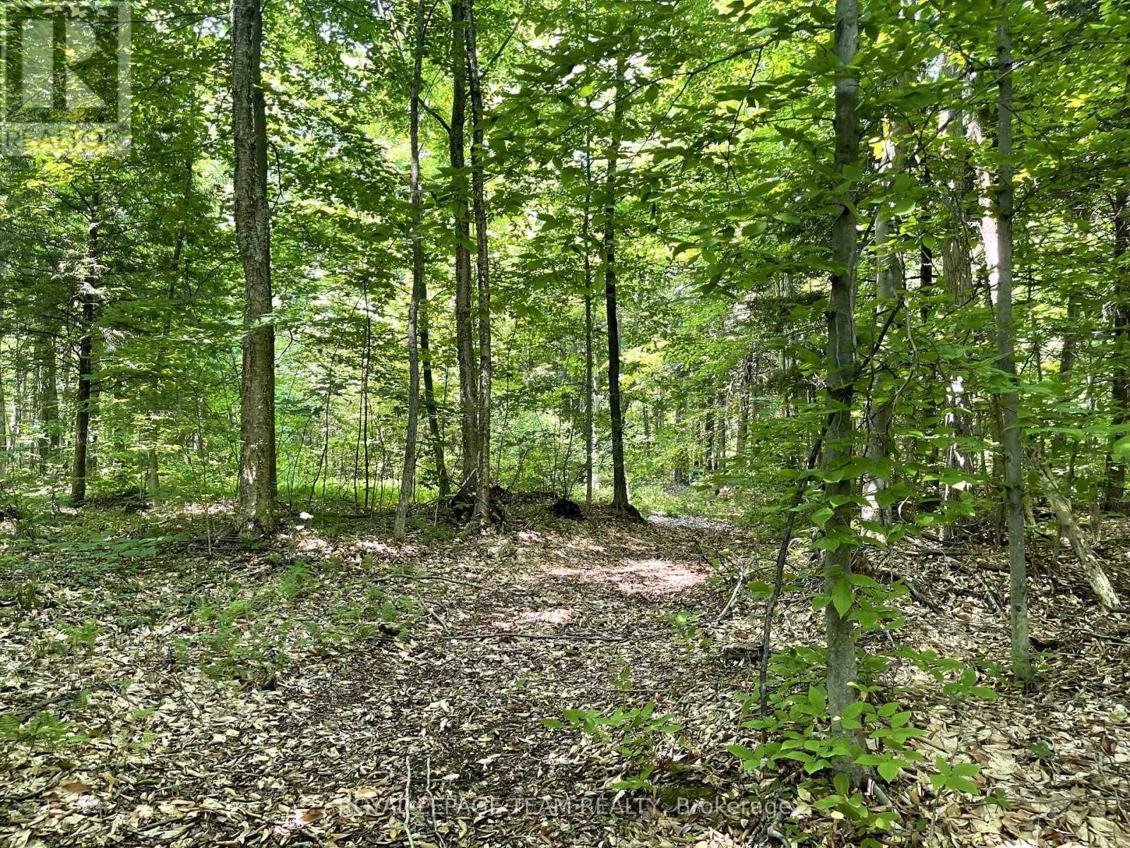 000 Dukelow Road, Edwardsburgh/Cardinal, ON