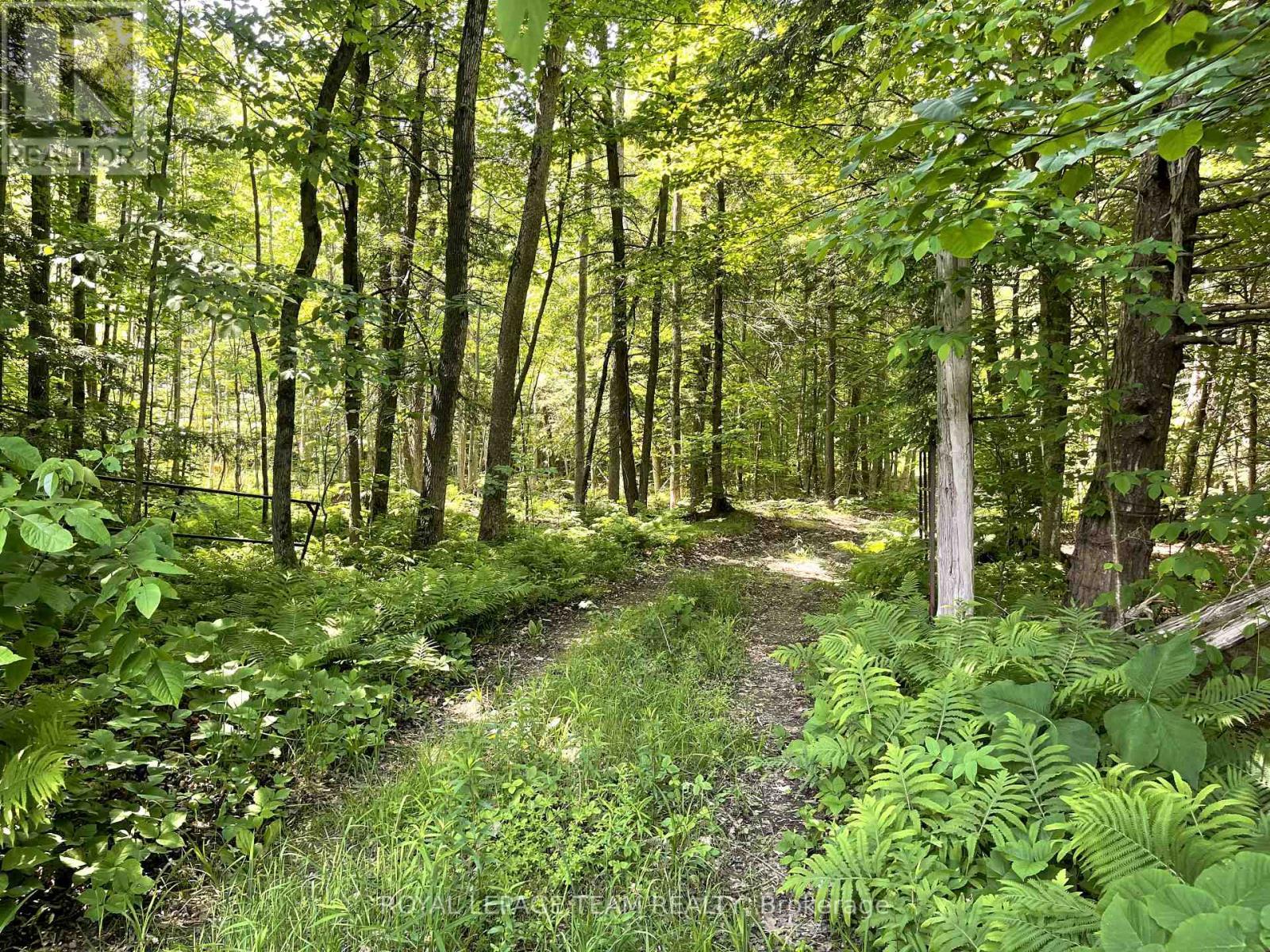 000 Dukelow Road, Edwardsburgh/Cardinal, ON