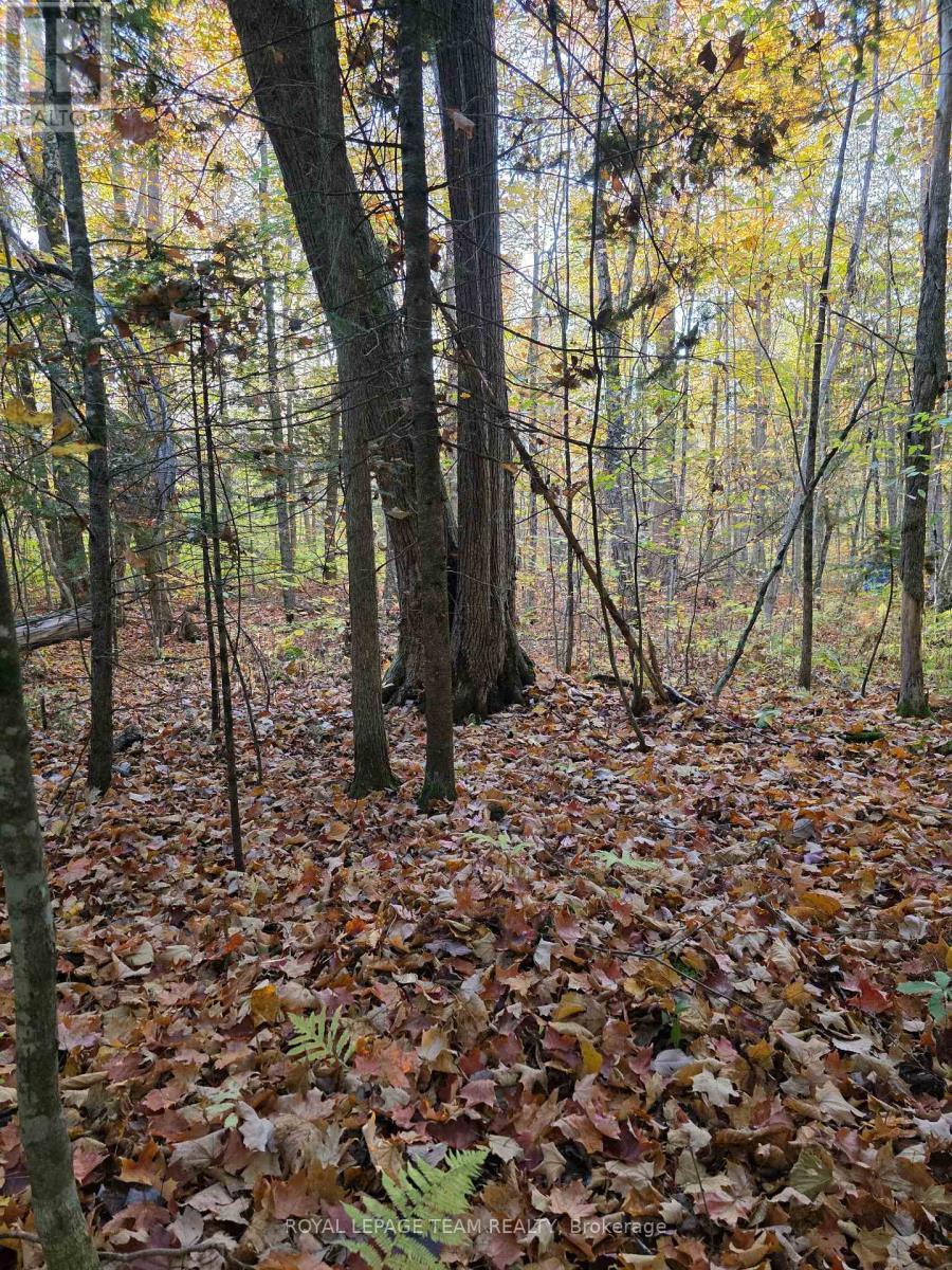 000 Dukelow Road, Edwardsburgh/Cardinal, ON