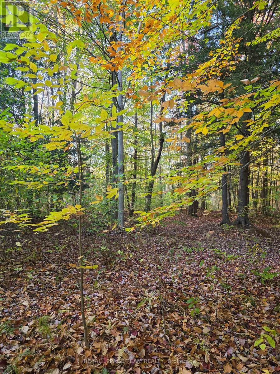 000 Dukelow Road, Edwardsburgh/Cardinal, ON