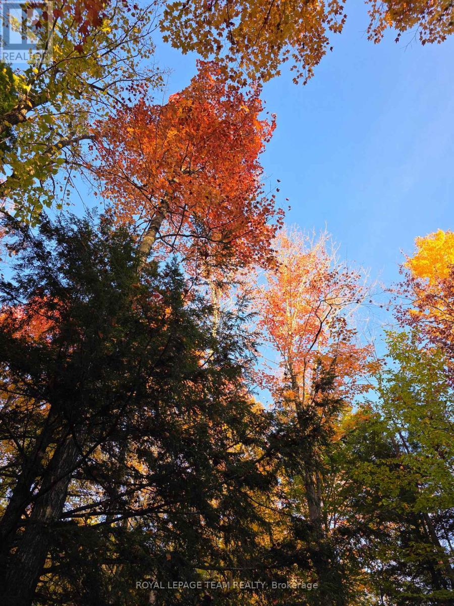 000 Dukelow Road, Edwardsburgh/Cardinal, ON